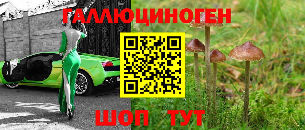 Псилоцибиновые грибы мицелий  Вход с VPN  Фурманов 