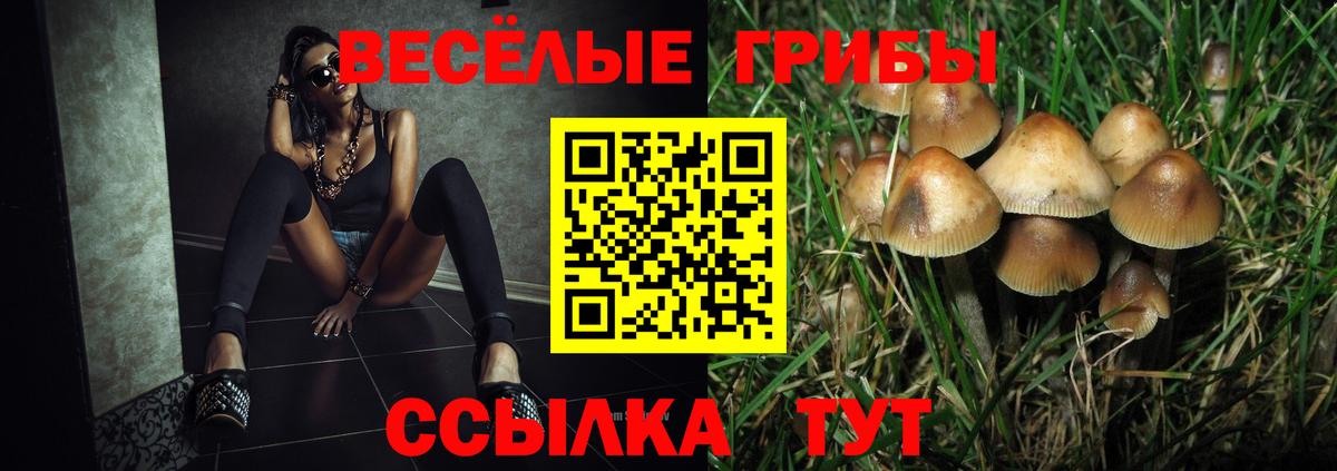 Галлюциногенные грибы Cubensis Фурманов