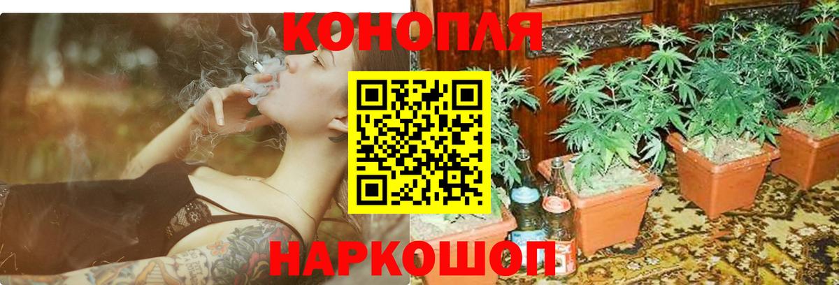 Фурманов  Каннабис White Widow  Конопля White Widow  Марихуана марихуана  Вход с VPN 